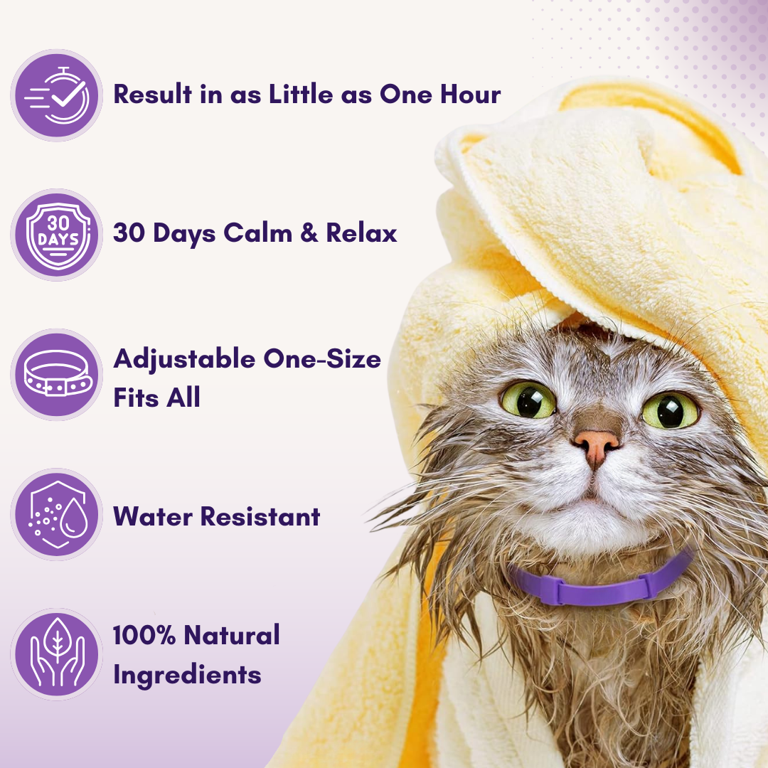 Calm Furry™ Pheromone Collar