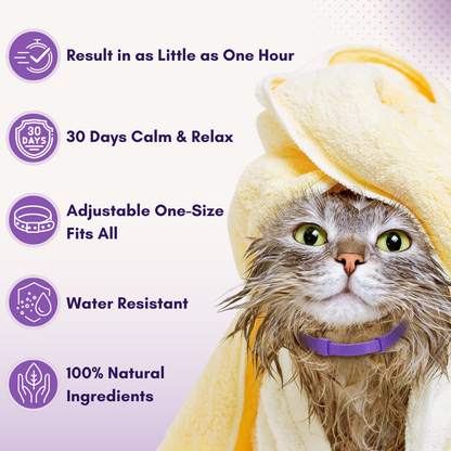 Calm Furry™ Pheromone Collar